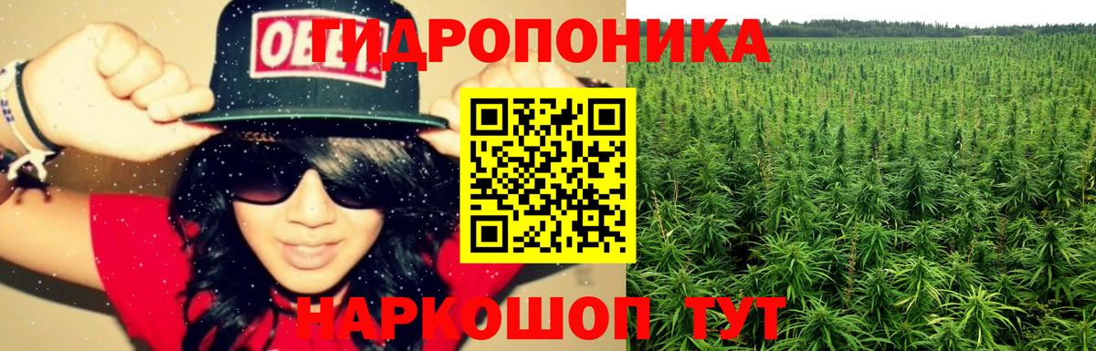 Елизово  Марихуана гибрид  Шишки марихуана ГИДРОПОН  Вход с VPN 